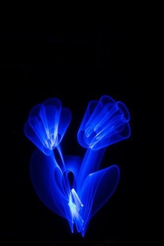 Christiene Krouwels - Workshop Lightpainting - 3